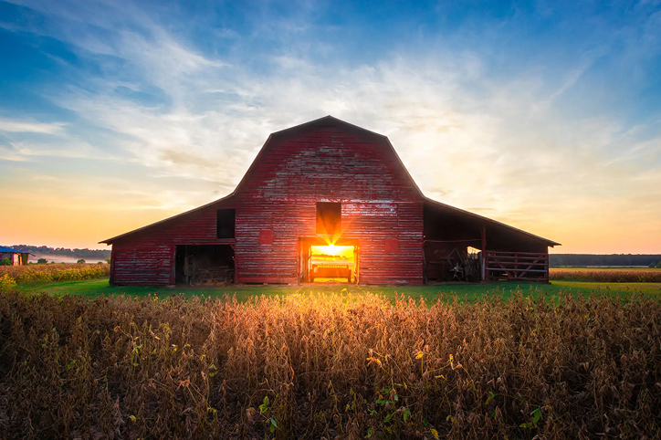 Sunset glowing through an old red barn in a field.