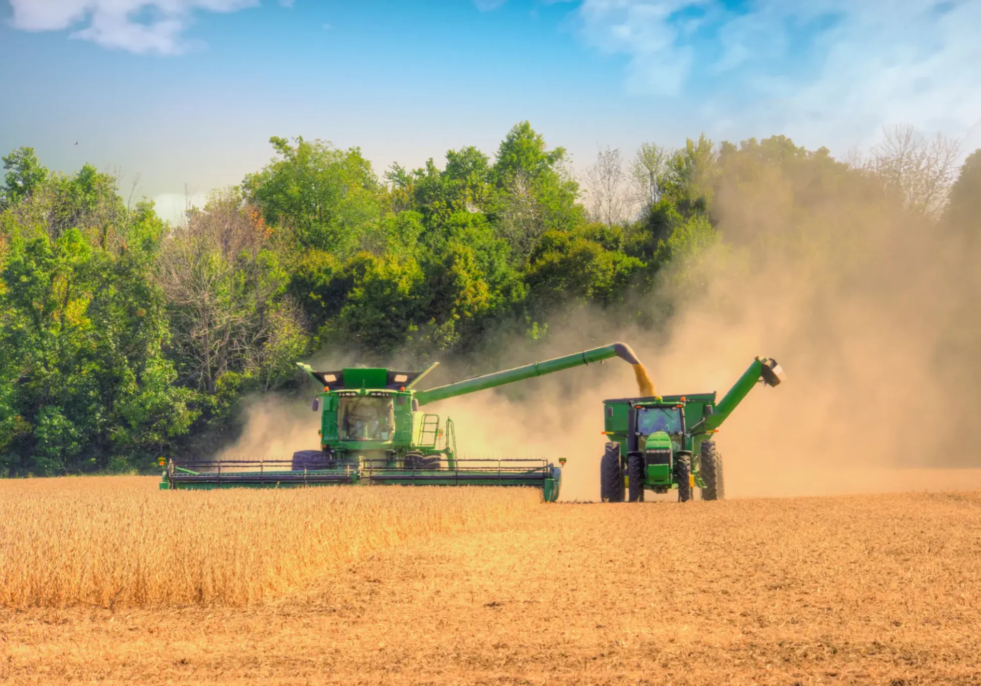 Two green harvesters working in a dusty field under a clear sky.
